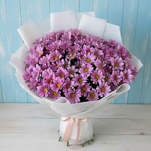 Букет цветов из:  Хризантемы в Коммаяке