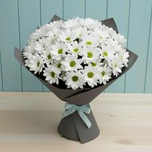 Букет цветов из:  Хризантемы #REPLACE_PRED# Коммаяке