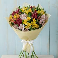 Букет цветов из:  Альстромерии в Коммаяке