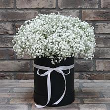 Цветочная композиция из Гипсофила в шляпной коробке в Коммаяке